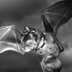Illustration for article titled The very best fake monster pictures that you created!